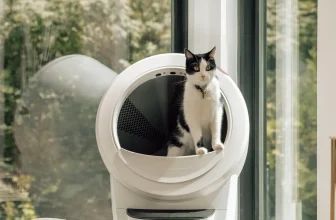 Litter‑Robot 4 Memorial Day Deal: Record Low Price Of $799 With Accessory Bundle