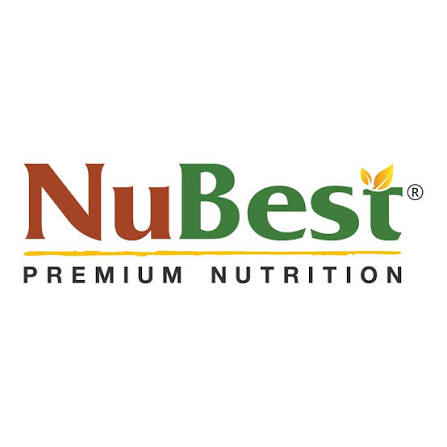 nubest_logo