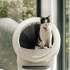 Eufy E340 Review 2026: Head To Toe Coverage With Downward Camera And Delivery Guard